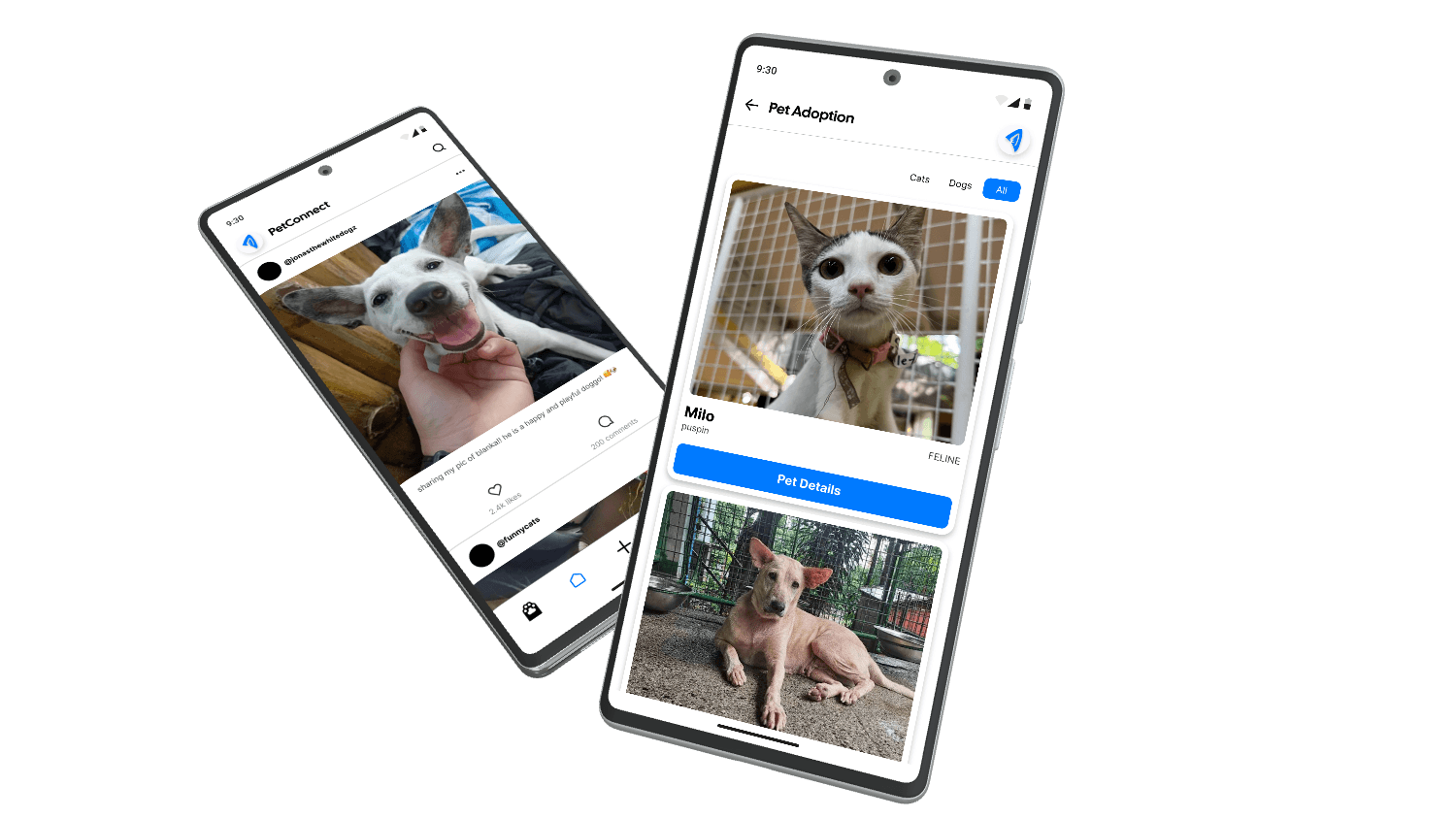 PetConnect preview image